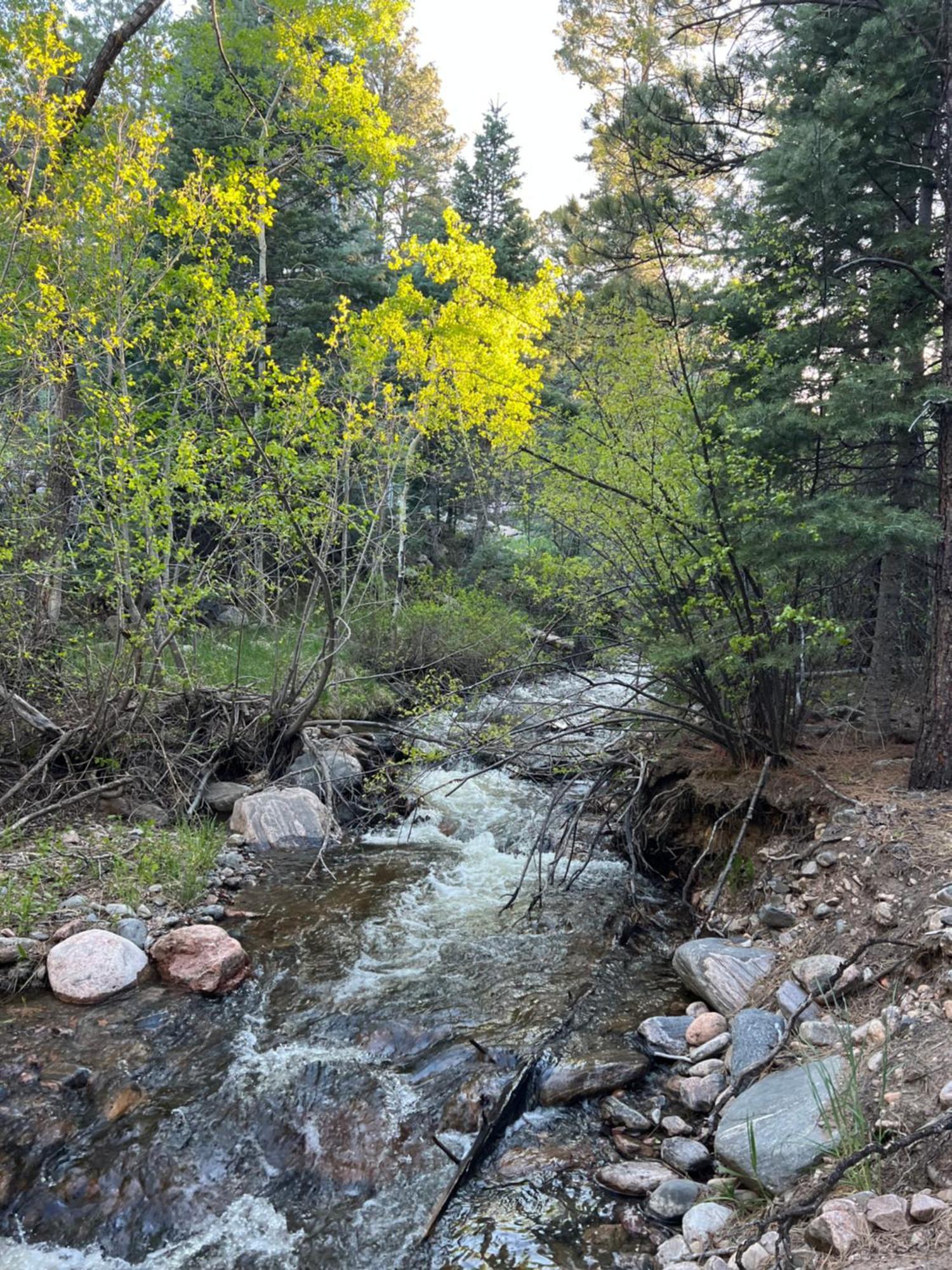 Cozy Cabin On The Creek 콜로라도 시티 외부 사진